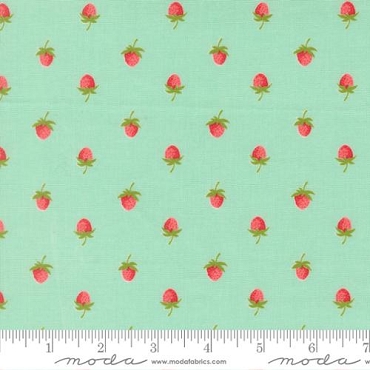 Bloomsberry - Aqua - 55352-13 - by Camille Roskelley - Moda - 100% Cotton